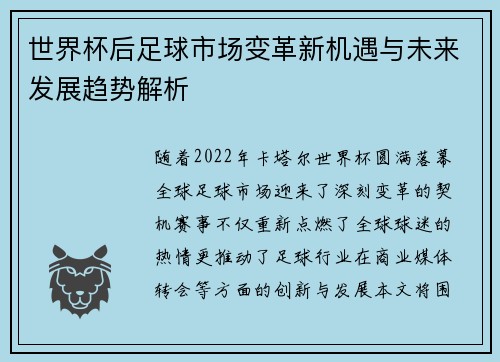 世界杯后足球市场变革新机遇与未来发展趋势解析 世界杯后足球市场变革新机遇与未来发展趋势解析